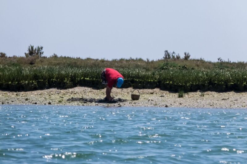 Faro: Kayak Hire in Ria Formosa Natural Park - Rental Inclusions