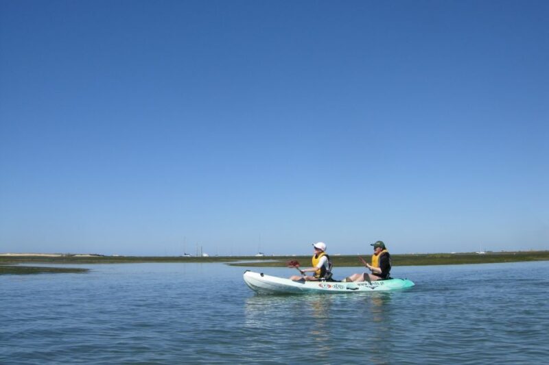 Faro: Kayak Hire in Ria Formosa Natural Park - Experience Highlights