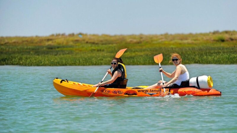 Faro: Kayak Hire in Ria Formosa Natural Park - Participant Requirements