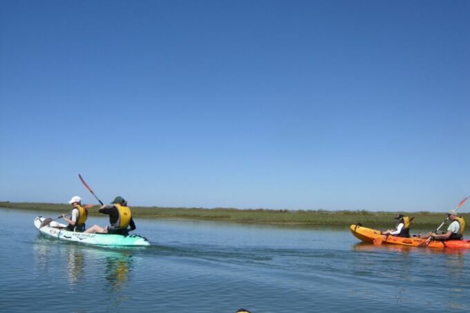 Faro: Kayak Hire in Ria Formosa Natural Park - What to Bring