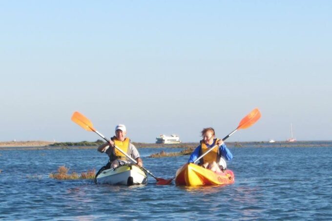 Faro: Kayak Hire in Ria Formosa Natural Park - Meeting Point