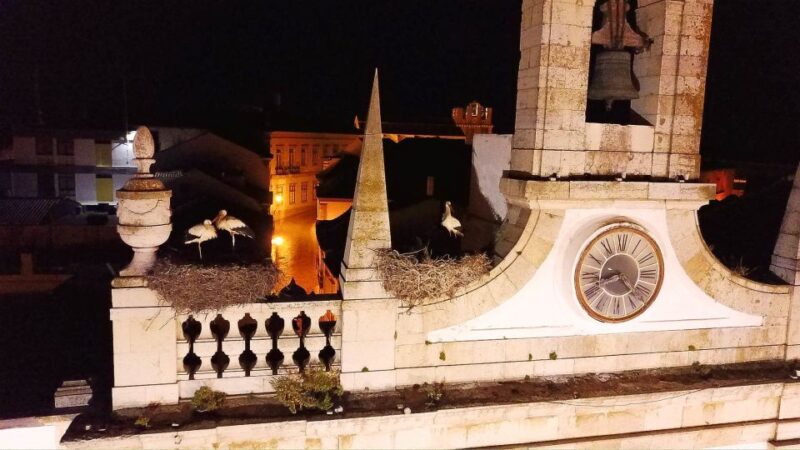 Faro: Night Segway Tour With Cocktails - Experience Highlights