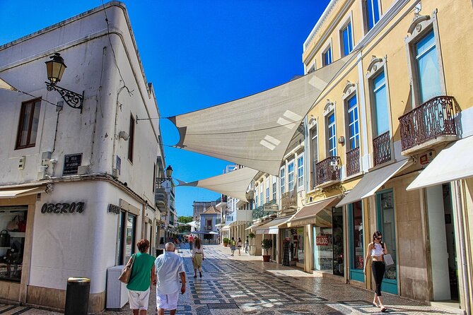 Faro Private Walking Tour With a Professional Guide - Tour Logistics