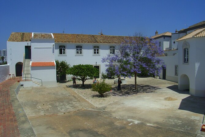 Faro Private Walking Tour With a Professional Guide - Reviews and Feedback
