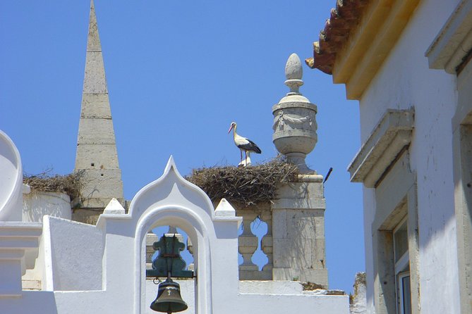 Faro Private Walking Tour With a Professional Guide - Guided Experience