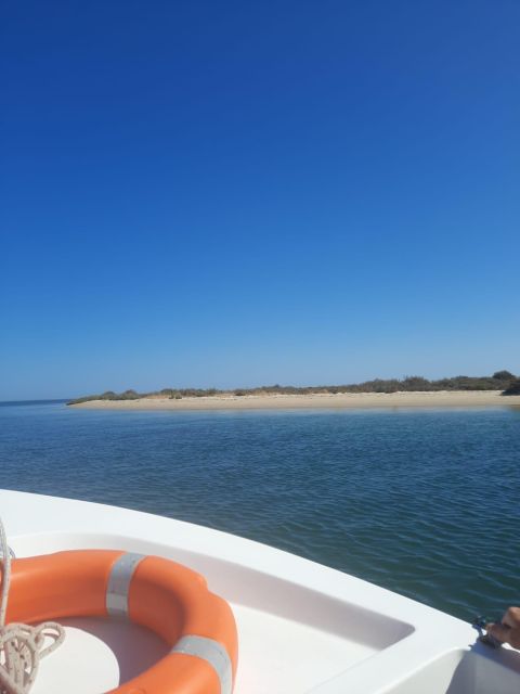 Faro: Real Pudim Boat Tours 6h Ria Formosa Boat Tour - Frequently Asked Questions