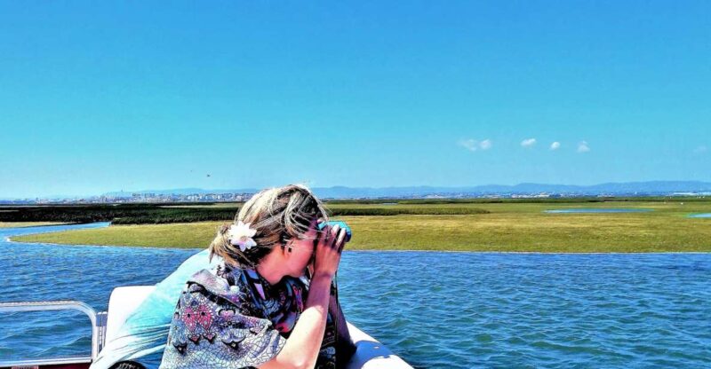 Faro: Ria Formosa Boat Tour - Key Points