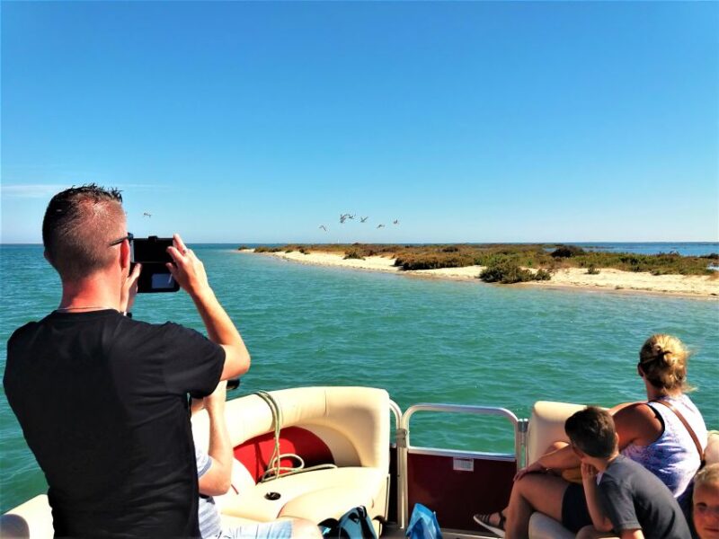 Faro: Ria Formosa Boat Tour - Important Information for Visitors