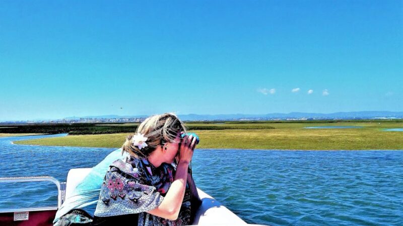 Faro: Ria Formosa Boat Tour - Accessibility and Languages