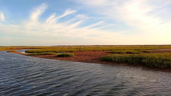 Faro: Ria Formosa Boat Tour - Meeting Point and Check-in