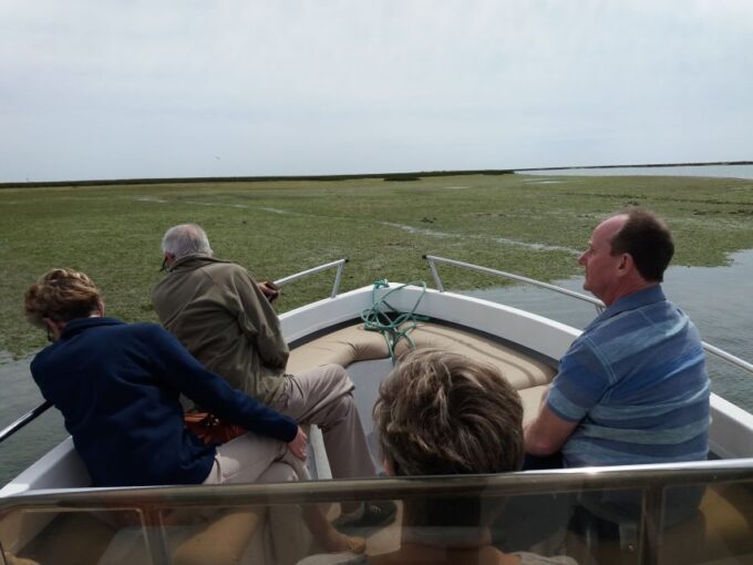 Faro: Ria Formosa Boat Tour - Customer Feedback and Ratings