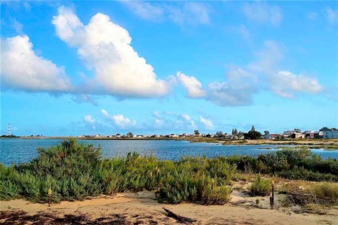Faro: Ria Formosa Boat Tour - Frequently Asked Questions