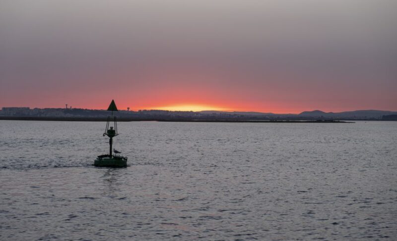 Faro: Ria Formosa Guided Sunset Tour by Catamaran - Cruise Experience
