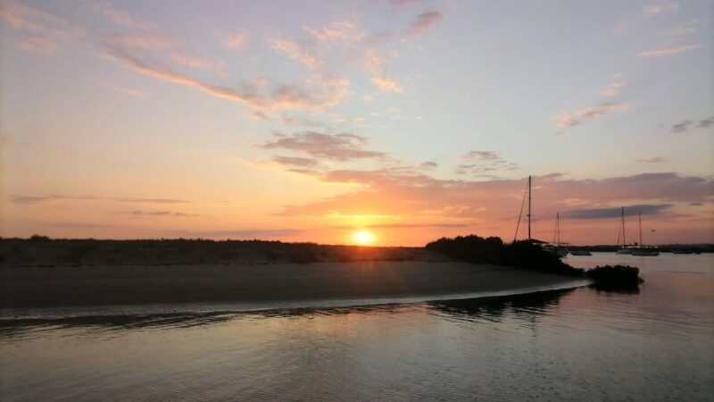 Faro: Ria Formosa Guided Sunset Tour by Catamaran - Customer Feedback