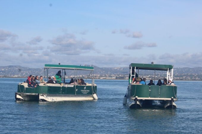 Faro: Ria Formosa Guided Sunset Tour by Catamaran - Duration and Timing