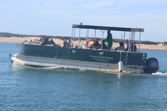 Faro: Ria Formosa Guided Sunset Tour by Catamaran - Location and Accessibility