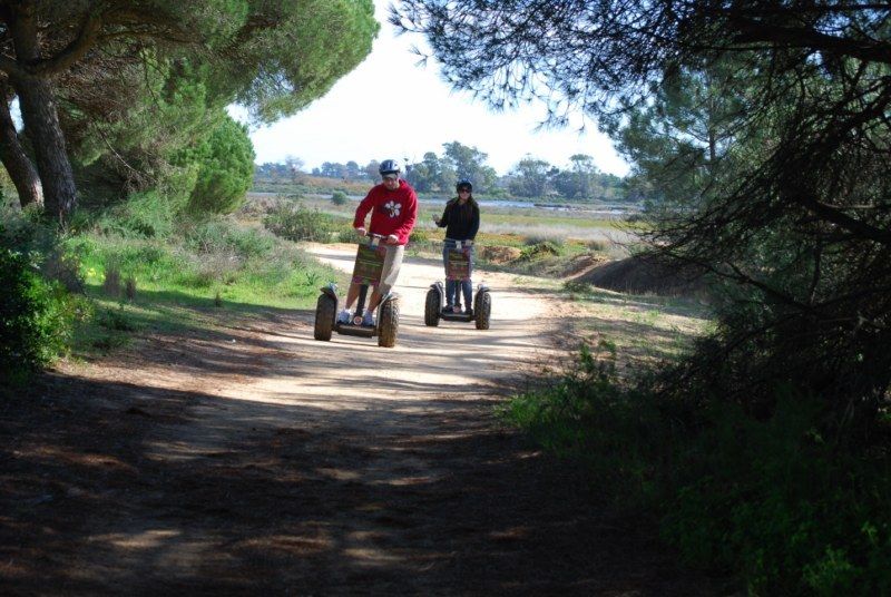 Faro: Ria Formosa Natural Park Segway Tour & Birdwatching - Tour Details