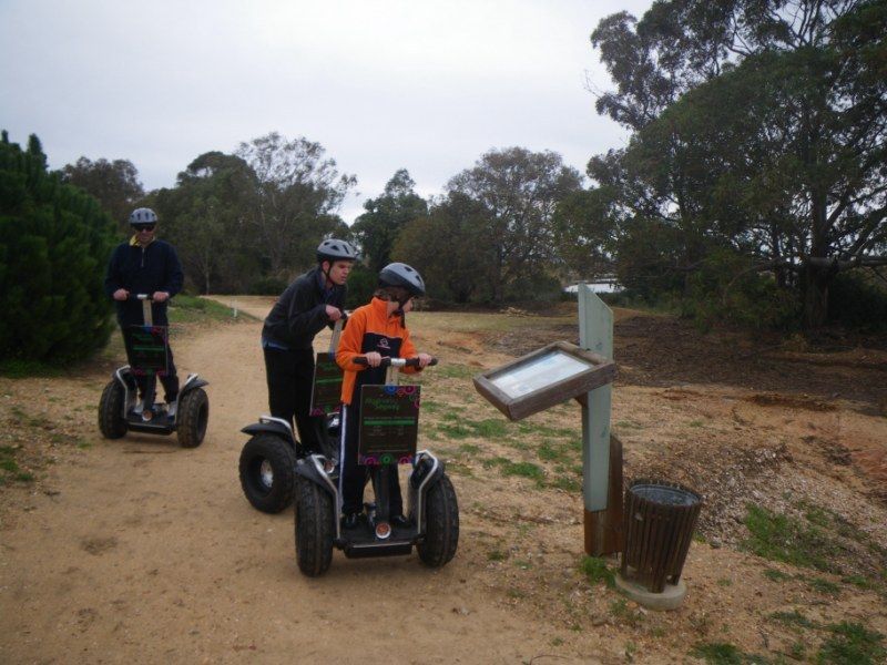 Faro: Ria Formosa Natural Park Segway Tour & Birdwatching - Customer Ratings