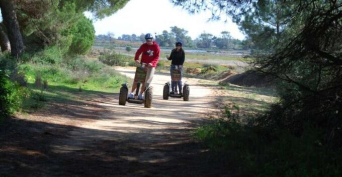 Faro: Ria Formosa Natural Park Segway Tour & Birdwatching - What to Expect