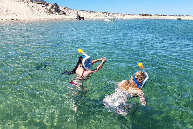 Faro - Ria Formosa Tour With Visit to 2 Islands (Deserta, Farol) 3.5 Hours - Tour Inclusions