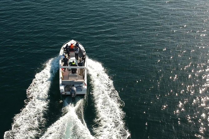 Faro - Ria Formosa Tour With Visit to 2 Islands (Deserta, Farol) 3.5 Hours - Traveler Capacity