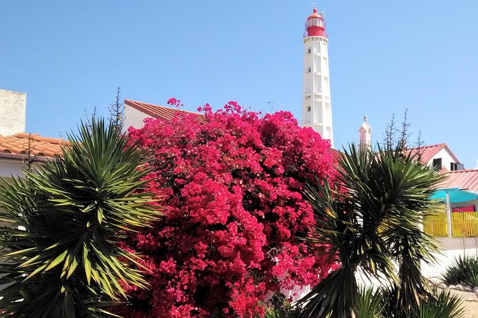 Faro - Ria Formosa Tour With Visit to 2 Islands (Deserta, Farol) 3.5 Hours - Booking and Confirmation
