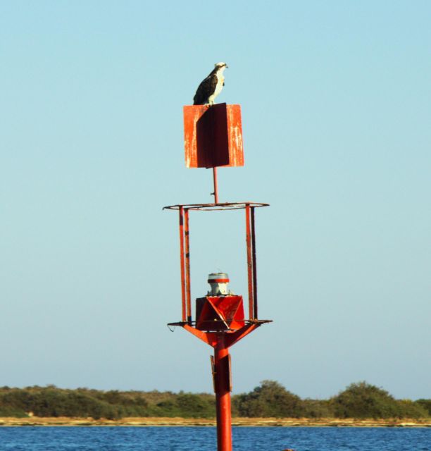 Faro: Royal Pudding Boat Tours 6h Boat Tour to Ria Formosa - Starting Location and Activities
