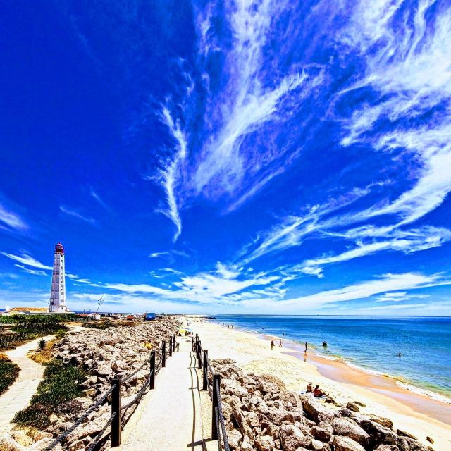 Faro: Royal Pudding Boat Tours 6h Boat Tour to Ria Formosa - Customer Feedback
