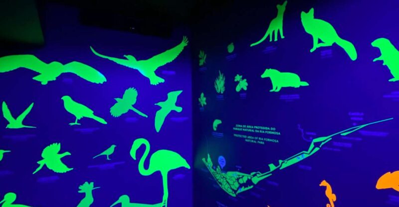 Faro Story Spot - Multimídia Museum - Additional Amenities