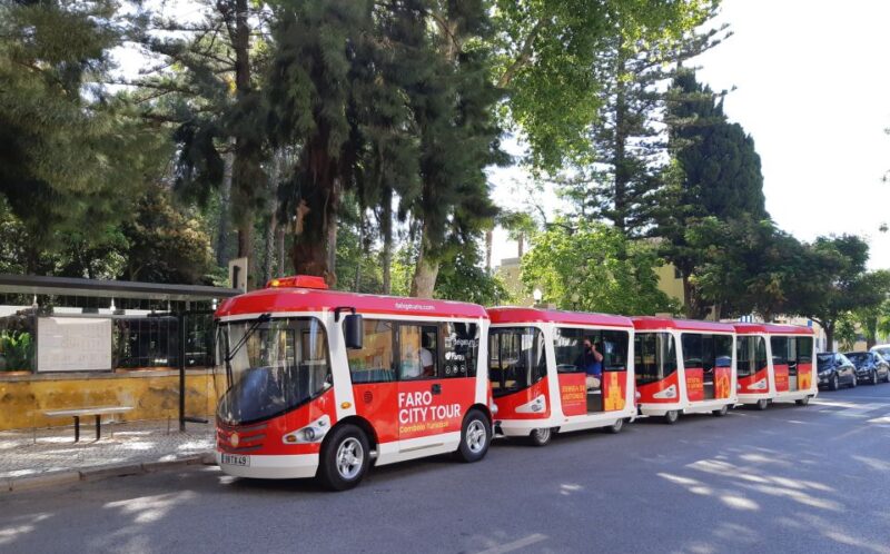 Faro: Tourist Train Hop-On Hop-Off Ticket - Accessibility and Comfort Concerns