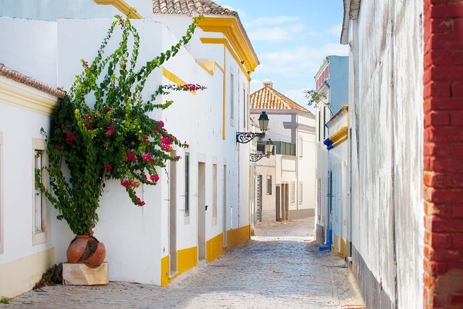 Faro Walking Tour: Uncover the City's Architectural Legacy - Strolling Through Alameda Joao De Deus