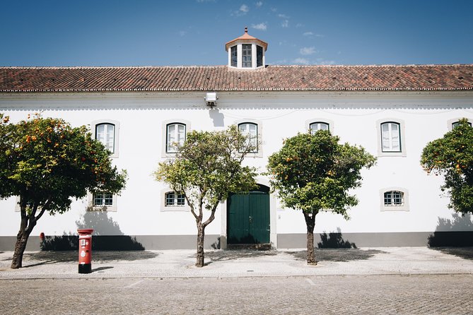Faro Walking Tour: Uncover the City's Architectural Legacy - Visiting the Faro Municipal Museum