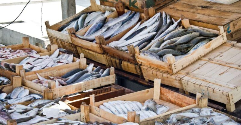Fasano: Market, Cooking Class & Meal at a Locals Home - Detailed Itinerary