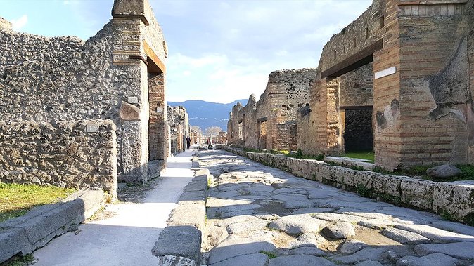 Fast Access Exclusive Private Ancient Pompeii Half Day Tour With Local Guide - Meeting and Pickup