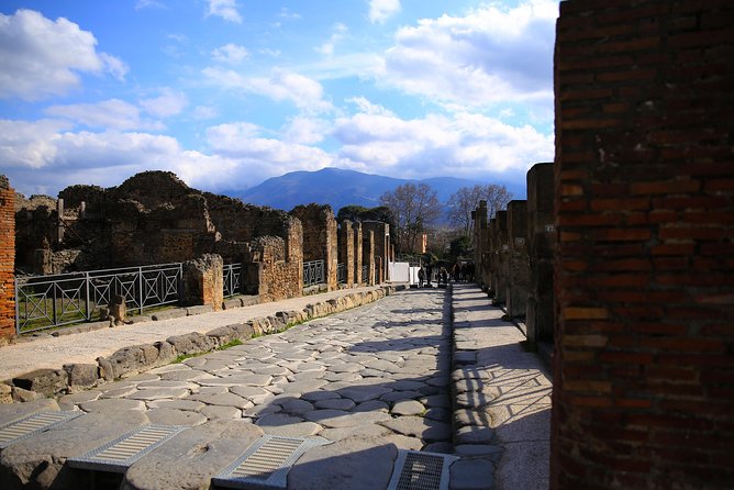 Fast Access Exclusive Private Ancient Pompeii Half Day Tour With Local Guide - Preparing for the Tour