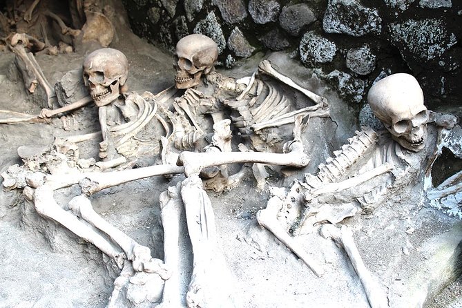 Fast Access Exclusive Private Ancient Pompeii Herculaneum & Oplontis Guided Tour - Insight Into Ancient Roman Life
