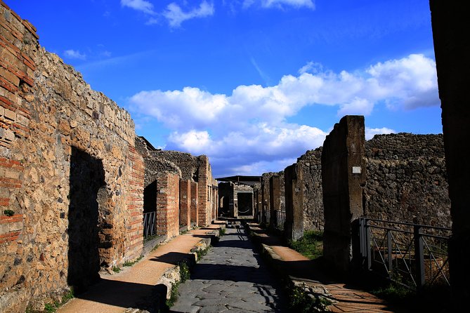 Fast Access Exclusive Private Ancient Pompeii Herculaneum & Oplontis Guided Tour - Meeting and Pickup Details