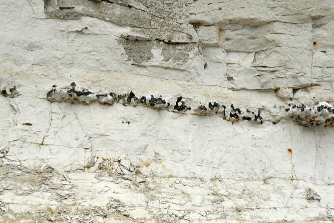 Fast-Track UNESCO Stevns Klint - Copenhagen Day Trip by Car - Exploring Valloe Castle