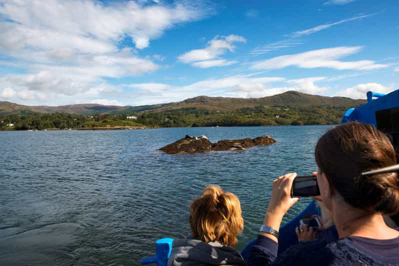 Fastnet Rock Lighthouse Direct Boat Tour-Baltimore.Guided. - Key Points