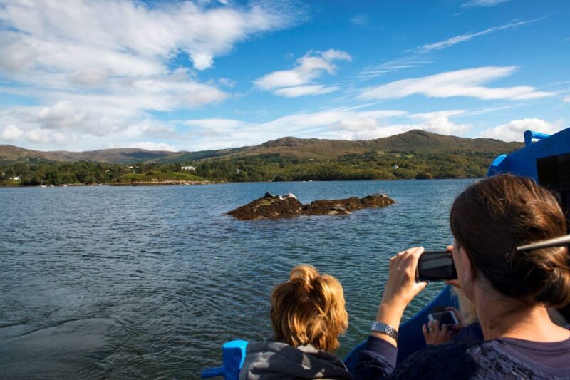 Fastnet Rock Lighthouse Direct Boat Tour-Baltimore.Guided. - Safety and Accessibility