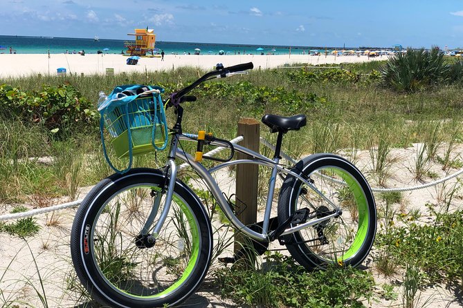 Fat Tire Bike Rental for Sand Riding - Overview of the Rental Experience