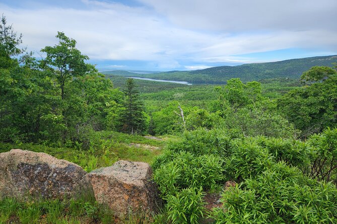 Fat Tire E-Bike Rental in Bar Harbor - Accessibility Considerations and Requirements