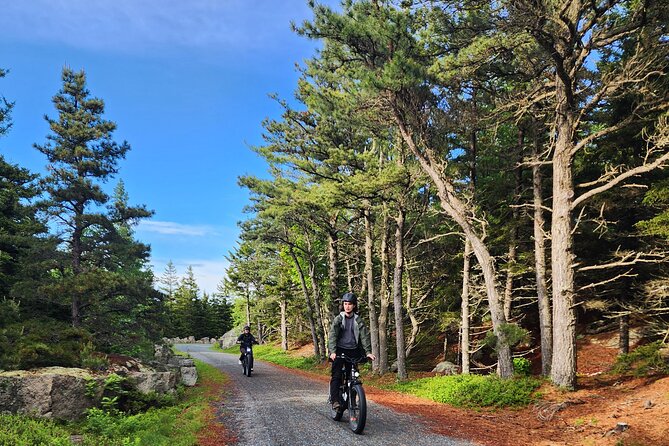 Fat Tire E-Bike Rental in Bar Harbor - Customer Reviews and Overall Experiences