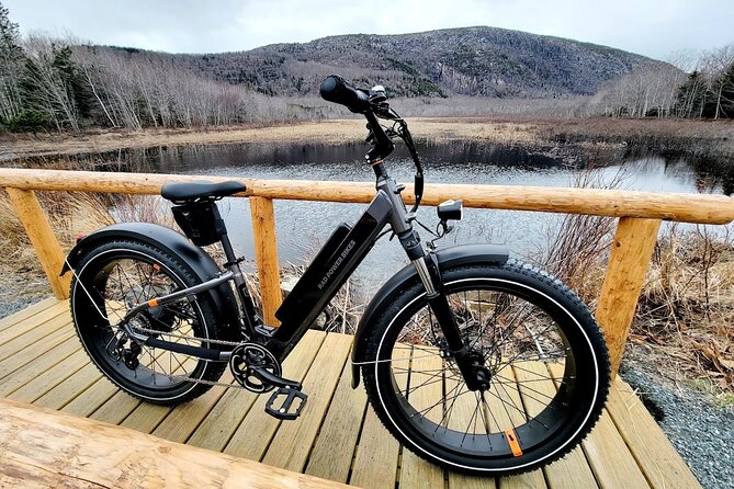 Fat Tire E-Bike Rental in Bar Harbor - Navigating Acadia National Park on an E-Bike