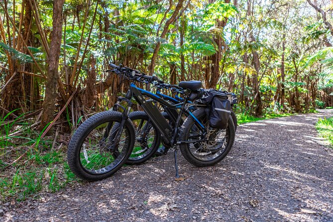 Fat Tire E-Bike Rental - Volcanoes National Park - Guide Expertise