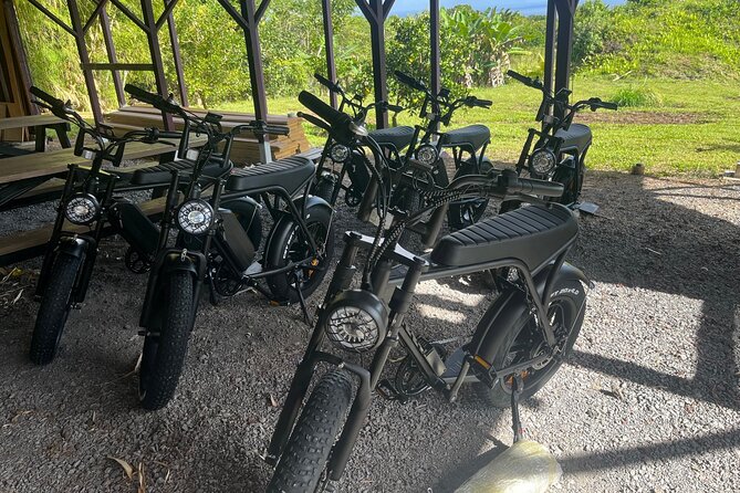 Fat Tire E-Bikes in Pahoa - Key Points