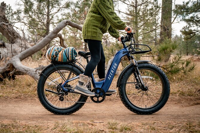 Fat Tire Ebikes for Rent Downtown Denver (1, 3 & 5 Day Rentals) - Key Points