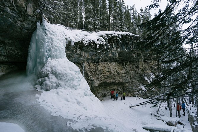 Fatbike Frozen Waterfall Tour - Tour Activities