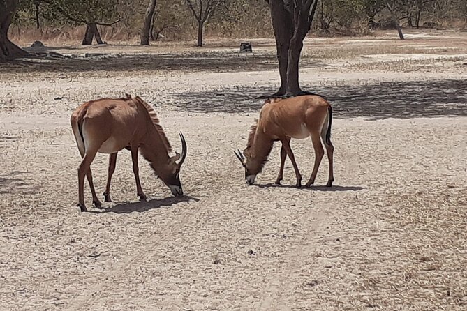 Fathala Wildlife Park - Booking and Cancellation Policy