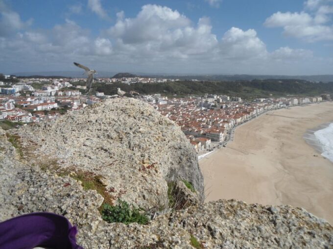 Fátima, Batalha, Alcobaça, Nazaré and Óbidos Private Tour - Customer Reviews
